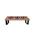 3 bowl dog food stand