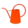 indoor plant watering can