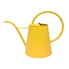 indoor plant watering can