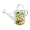 5L Citrus Metal Watering Can  Decorative Iron Garden Spout