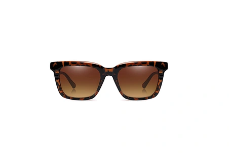 Plastic Sunglasses