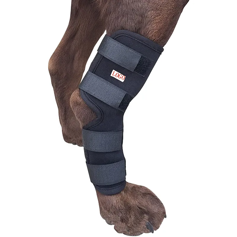 High quality neoprene leg joint wrap protector dog leg brace