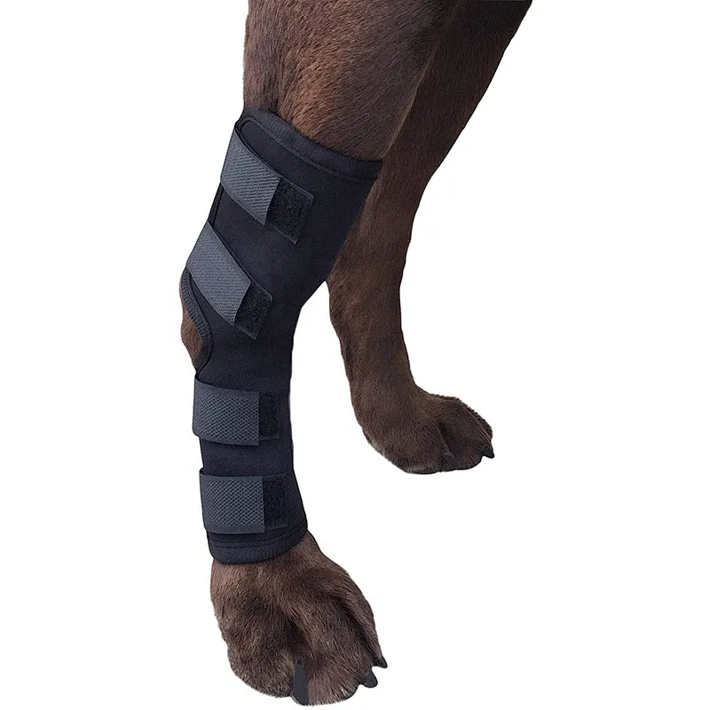 High quality neoprene leg joint wrap protector dog leg brace