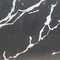 AVQ6E6008 Calacatta Black