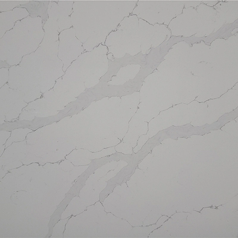 AVQ6E6013 Calacatta Tora