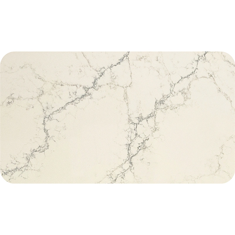 AVQ6E6016 Calacatta Regio