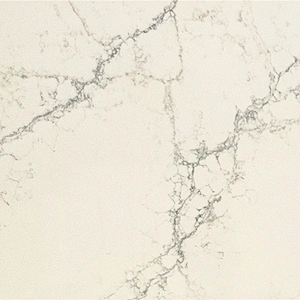 AVQ6E6016 Calacatta Regio