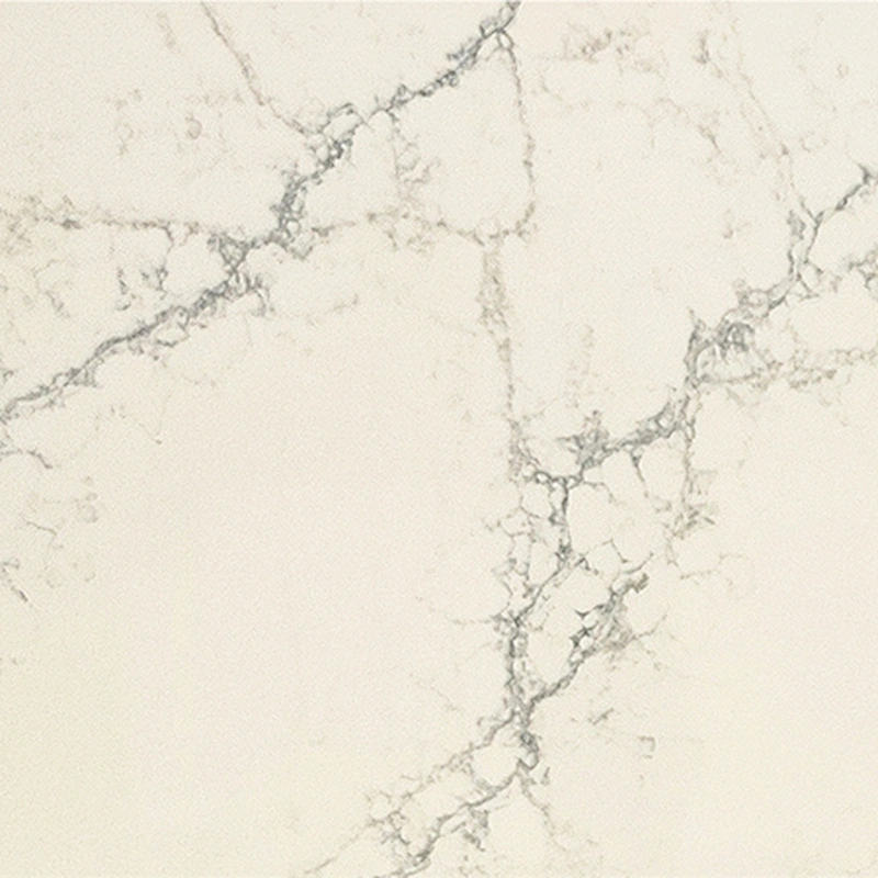 AVQ6E6016 Calacatta Regio