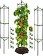 Juala redonda de almabre de acero galvanizado para tomates