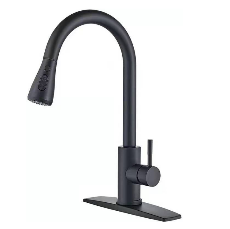 Kitchen Faucet