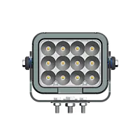 LED Work Lamp