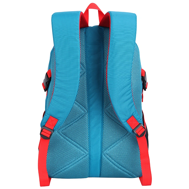 Laptop Backpack. Backpack size: 18