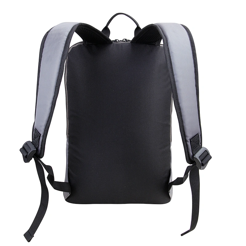 Laptop Backpack. Backpack size:19