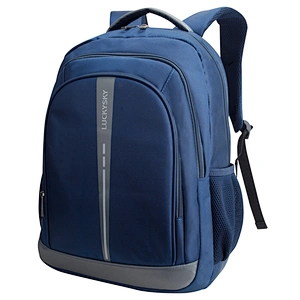 Laptop Backpack. Backpack size:19