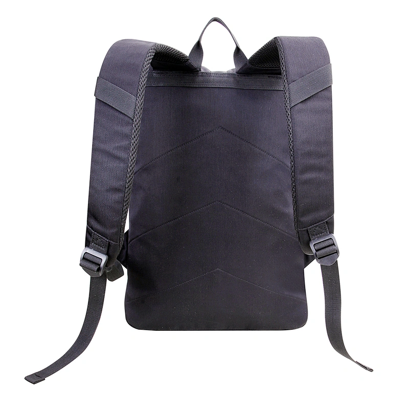 Laptop Backpack. Backpack size:20