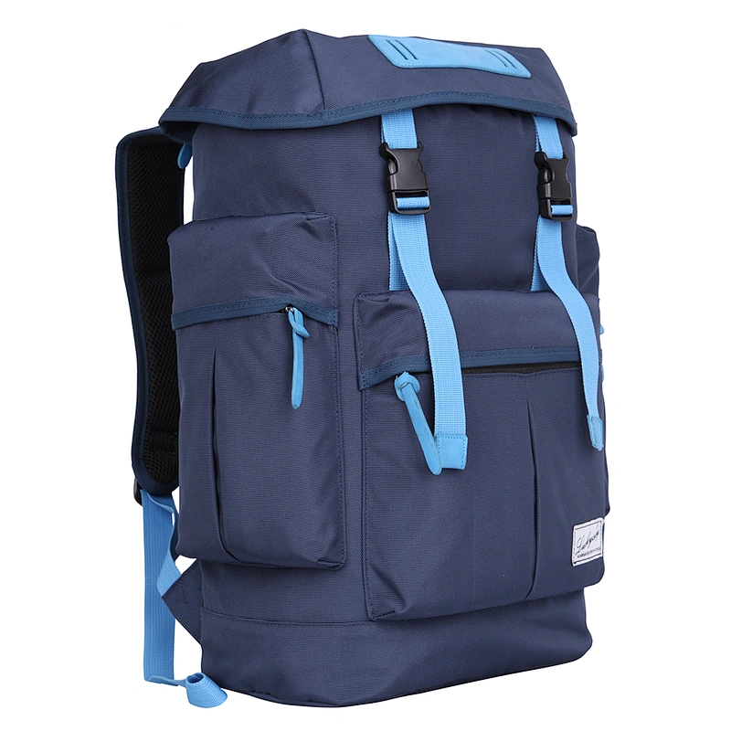Laptop Backpack. Backpack size: 18.5