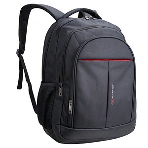 Laptop Backpack. Backpack size:19