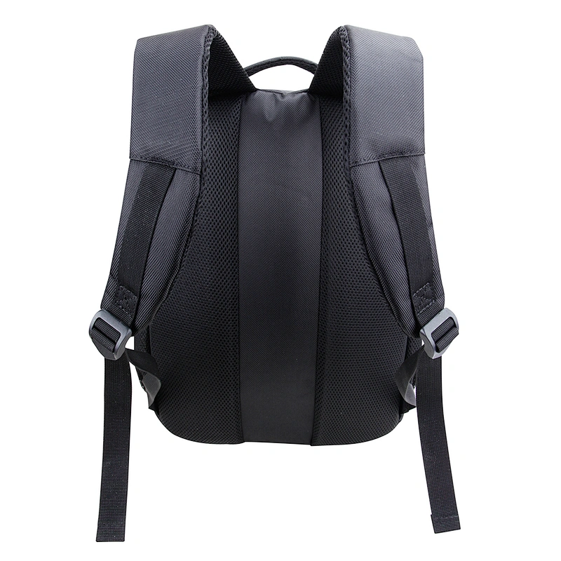Laptop Backpack. Backpack size:19