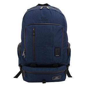 Laptop Backpack. Backpack size: 19