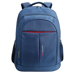 Laptop Backpack. Backpack size:19