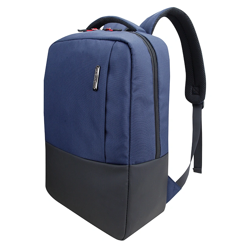Laptop Backpack. Backpack size:19