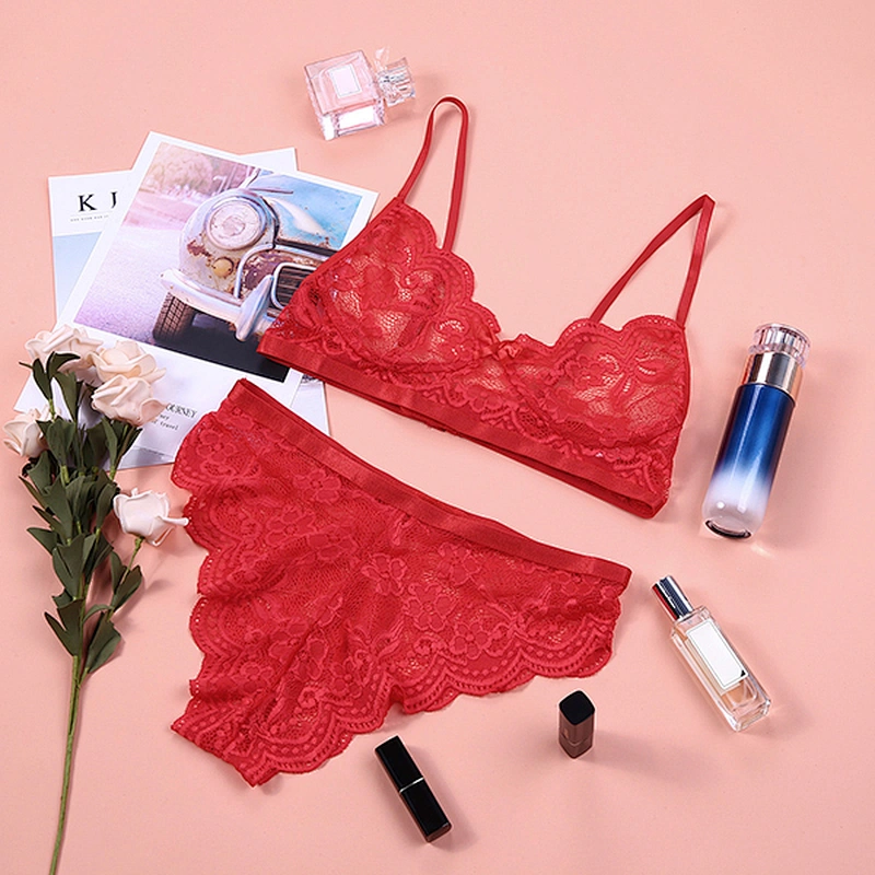 women's casual lace embroidery sexy lingerie