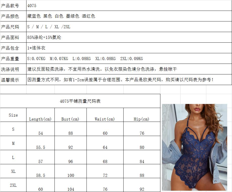 women's casual lace embroidery sexy lingerie