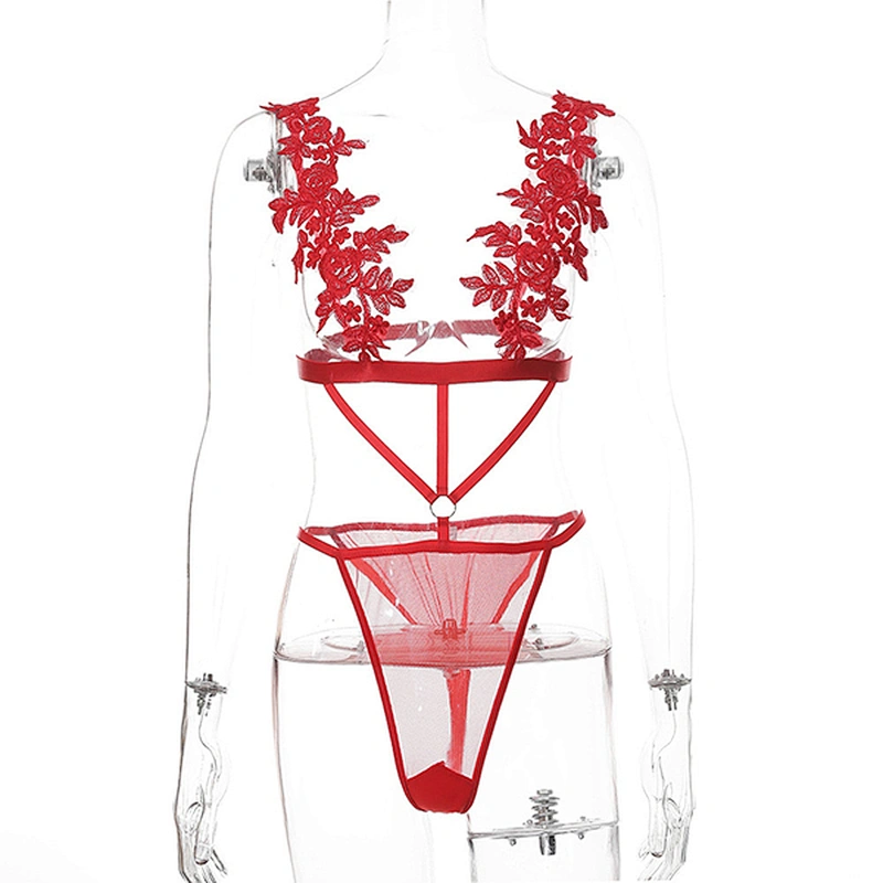 women's casual lace embroidery sexy lingerie