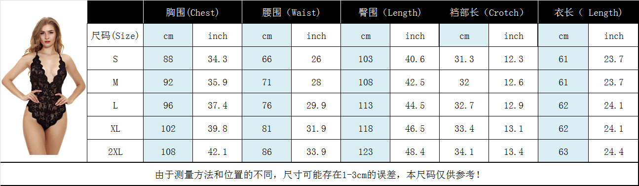 women's casual lace embroidery sexy lingerie