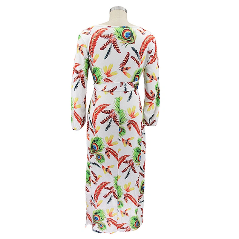 women's fashion casual printed dress