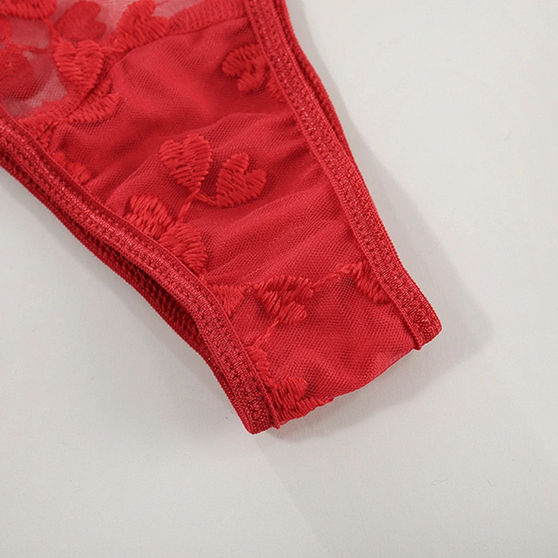 women's casual lace embroidery sexy lingerie