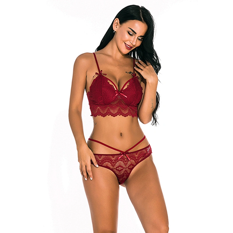 women's casual lace embroidery sexy lingerie