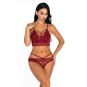 women's casual lace embroidery sexy lingerie