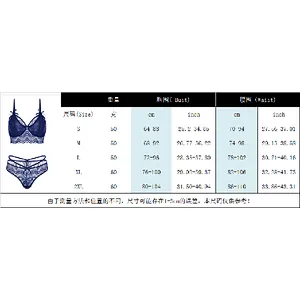 women's casual lace embroidery sexy lingerie