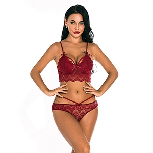 women's casual lace embroidery sexy lingerie