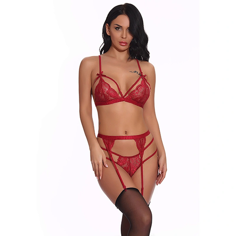 women's casual lace embroidery sexy lingerie