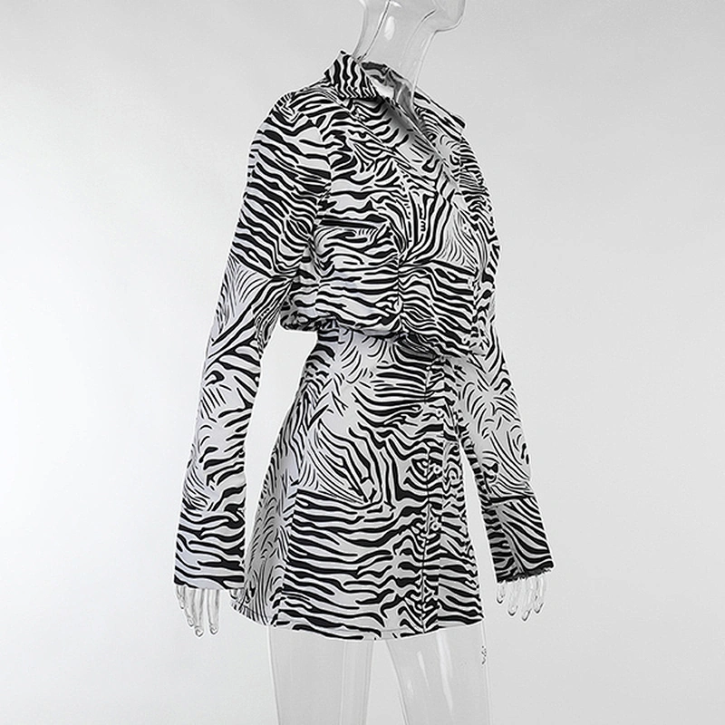 women's fashion casual printed dress