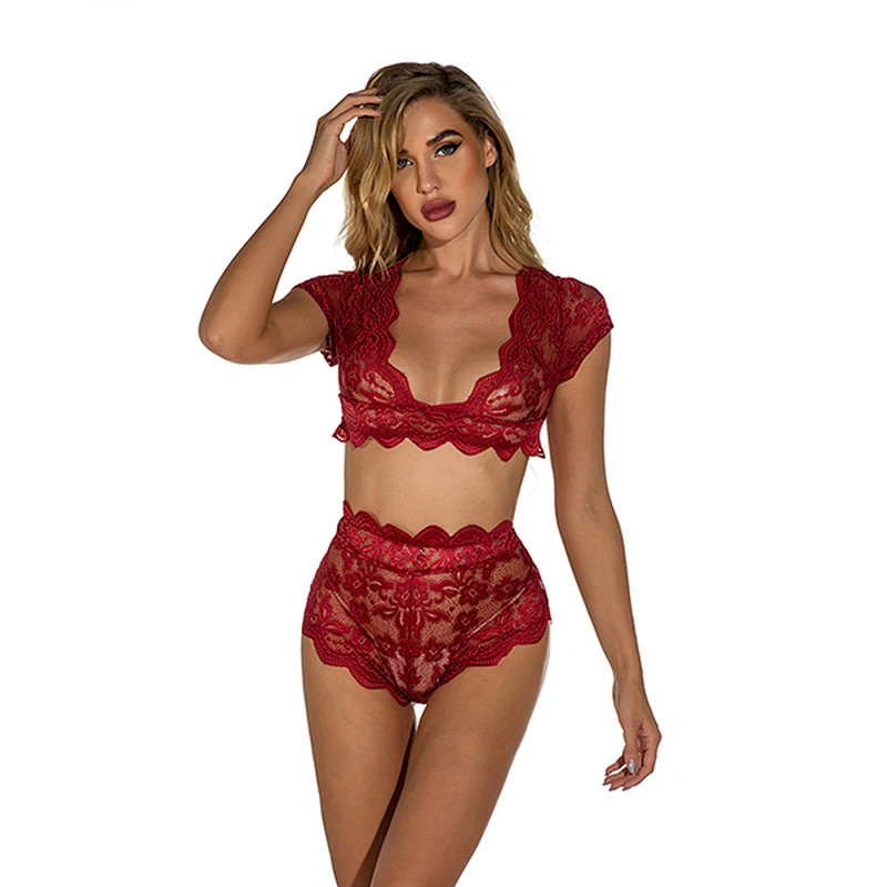 women's casual lace embroidery sexy lingerie
