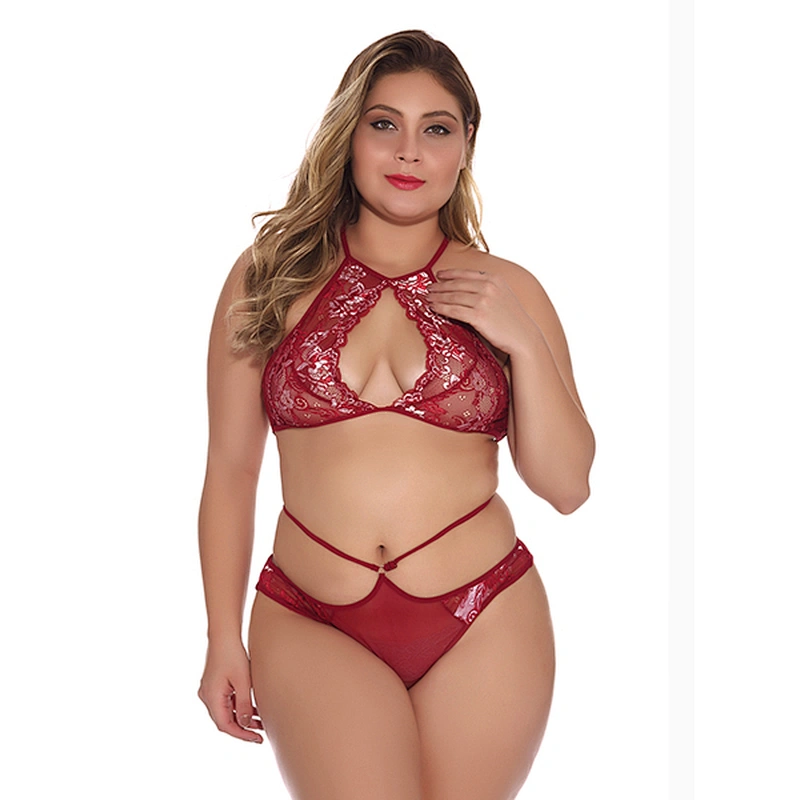 women's casual lace embroidery sexy lingerie