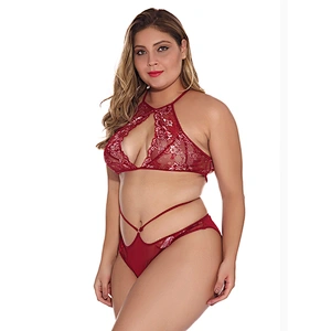 women's casual lace embroidery sexy lingerie