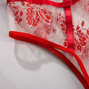 women's casual lace embroidery sexy lingerie