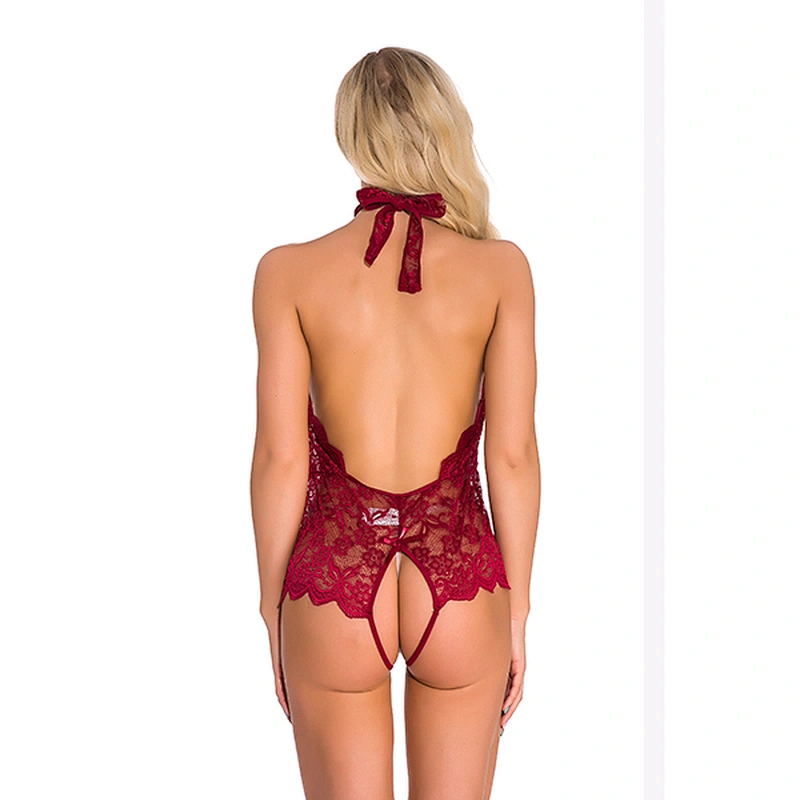 women's casual lace embroidery sexy lingerie