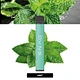 OVNS OVNS Plus 800 puffs dispsoable vape