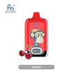 randm digital box 12k