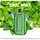 VEIIK Micko Space 7000 puff disposable vape