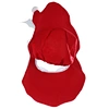Father Christmas Hat