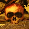 skull halloween