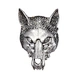 eye wolf