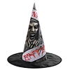 adult witch hat