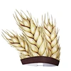 thanksgiving hat